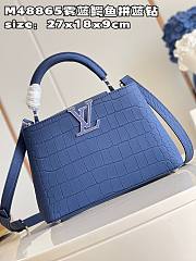 Louis Vuitton Capucines BB bag M48865 Mist blue crocodile with blue diamonds  27*18*9cm - 3