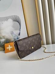 Louis Vuitton POCHETTE FELICIE N63032 Black and brown  chain bag 21*11*2cm - 5