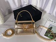 Bvlgari  Serpenti  gold bag  19*13*6.5cm - 1