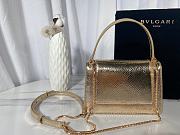 Bvlgari  Serpenti  gold bag  19*13*6.5cm - 2