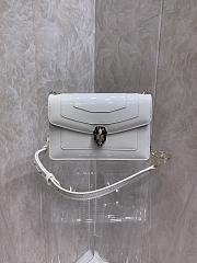 Bvlgari crossbody bag white     22*13*5cm - 1