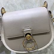 Chloe crossbody bag grey -26*22*8cm - 3