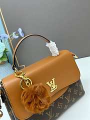 Louis Vuitton  brown crossbody bag 27CM  - 5