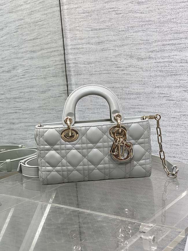 DIOR LADY MINI  9240A  white gold buckle22x6x12cm - 1