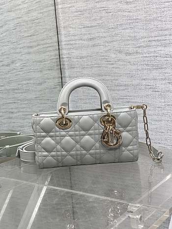 DIOR LADY MINI  9240A  white gold buckle22x6x12cm