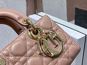 DIOR LADY MINI  9240A pink  gold buckle22x6x12cm - 4