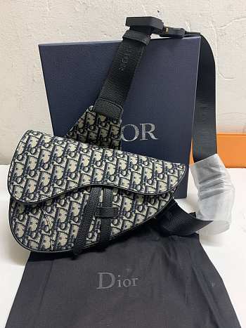 DIOR-saddle 121117A