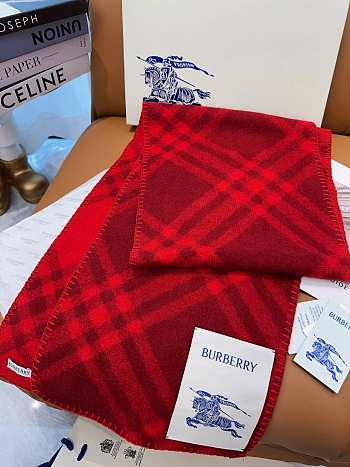 Burberry scarf 1