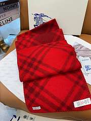 Burberry scarf 1 - 2