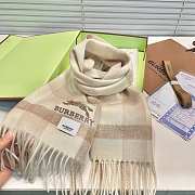 Burberry scarf 6 - 2