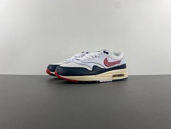 Nike Air Max 1 DH1348-146