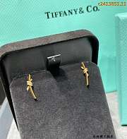 Tiffany earrings 04 - 3