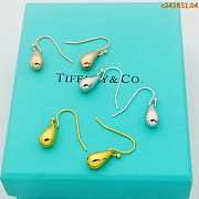 Tiffany earrings 06 - 1