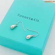 Tiffany earrings 06 - 5