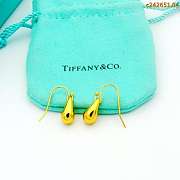 Tiffany earrings 06 - 2