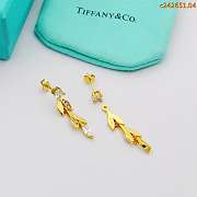 Tiffany earrings 07 - 3