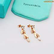 Tiffany earrings 07 - 4