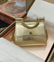 DG snakeskin crossbody bag gold  20*16*8CM - 1