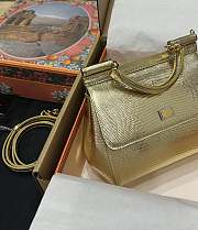 DG snakeskin crossbody bag gold  20*16*8CM - 5