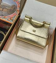 DG snakeskin crossbody bag gold  20*16*8CM - 3