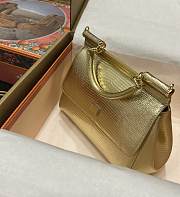 DG snakeskin crossbody bag gold  20*16*8CM - 2