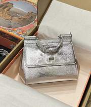 	 DG snakeskin crossbody bag  silver gray 20*16*8CM - 1