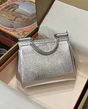 	 DG snakeskin crossbody bag  silver gray 20*16*8CM - 6