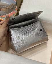 	 DG snakeskin crossbody bag  silver gray 20*16*8CM - 5