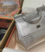 	 DG snakeskin crossbody bag  silver gray 20*16*8CM - 4