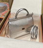 	 DG snakeskin crossbody bag  silver gray 20*16*8CM - 2