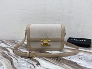 	 Celine medium triumph bag 121020D-5  22x16.5x7cm - 1