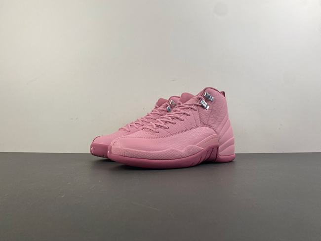 Air Jordan 12 GS 510815-600 - 1